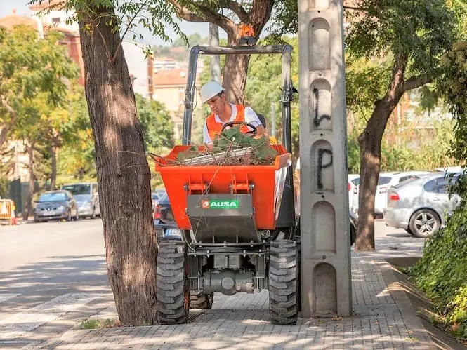 1 Ton Site Dumper (Swivel)